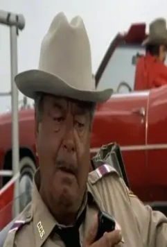 Смоки и Бандит 1977 скачать с торрента Смоки и Бандит 1977 скачать с торрента