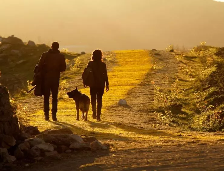 Изумрудный город 2016 скачать с торрента Изумрудный город 2016 скачать с торрента