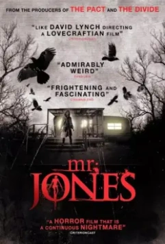 Мистер Джонс / Mr. Jones 2013 скачать через торрент в хорошем качестве