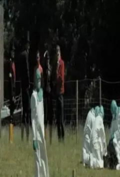 Мистер Одиночество 2006 скачать торрентом Мистер Одиночество 2006 скачать торрентом