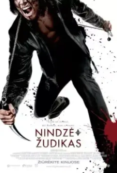 Ниндзя-убийца / Ninja Assassin 2009 скачать через торрент в хорошем качестве