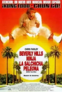 Ниндзя из Беверли Хиллз / Beverly Hills Ninja 1997 скачать через торрент в хорошем качестве