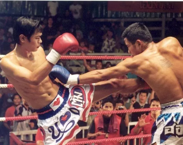 Прекрасный боксер 2003 скачать через торрент бесплатно Прекрасный боксер 2003 скачать через торрент бесплатно