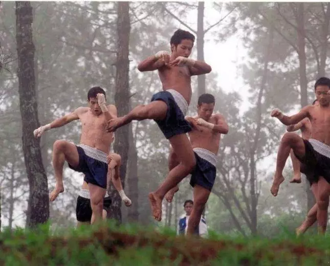 Прекрасный боксер 2003 скачать с торрента Прекрасный боксер 2003 скачать с торрента