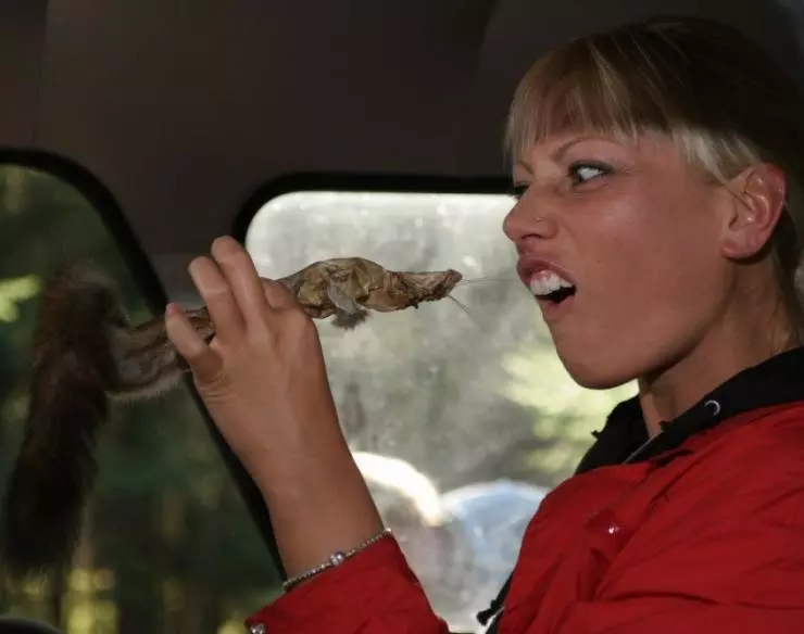 Никто не знает про секс 2006 скачать с торрента Никто не знает про секс 2006 скачать с торрента