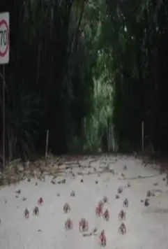 Остров голодных призраков 2018 скачать с торрента Остров голодных призраков 2018 скачать с торрента