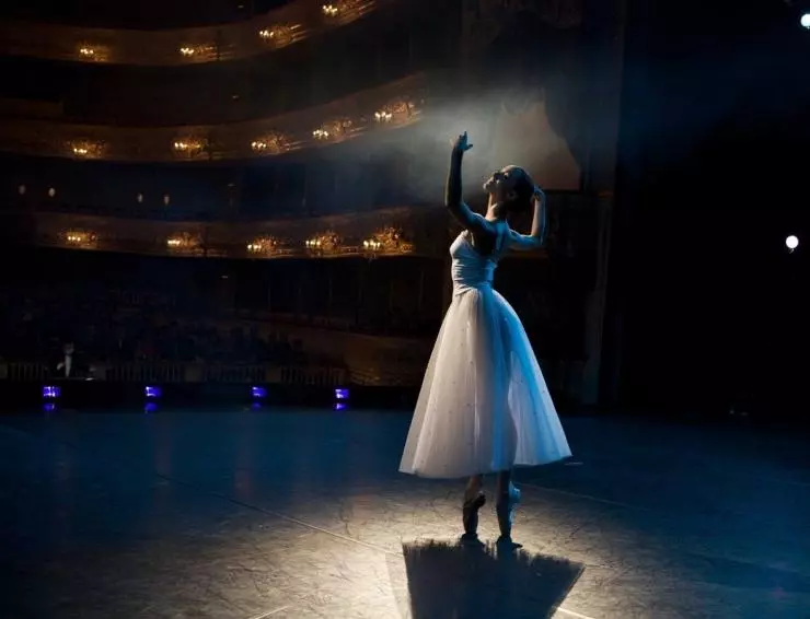 Белый лебедь 2012 скачать с торрента Белый лебедь 2012 скачать с торрента