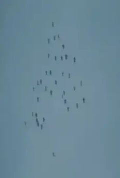 Выход 2017 скачать с торрента Выход 2017 скачать с торрента