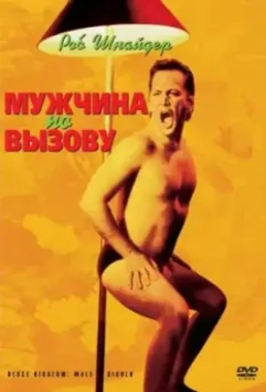 Мужчина по вызову / Deuce Bigalow: Male Gigolo 1999 скачать через торрент в хорошем качестве