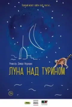 Луна над Турином / La luna su Torino 2013 скачать через торрент в хорошем качестве