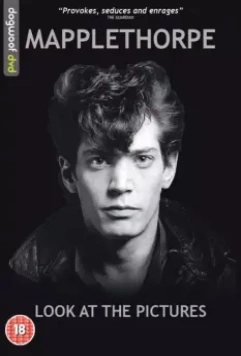 Мэпплторп: только полюбуйтесь / Mapplethorpe: Look at the Pictures 2016 скачать через торрент в хорошем качестве