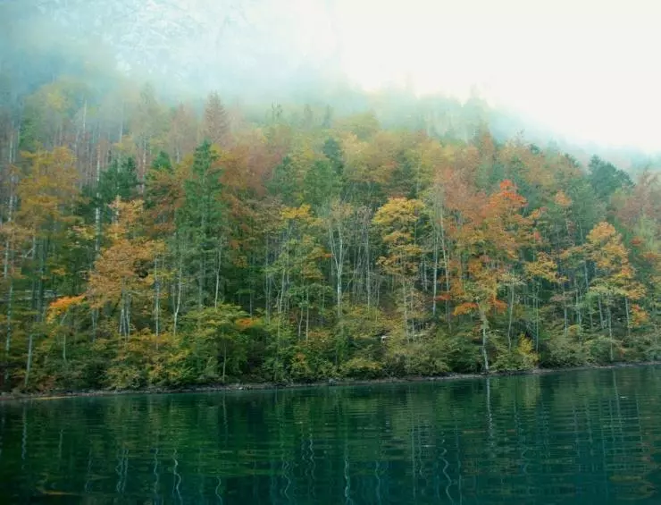 Зелёная планета 2012 скачать через торрент бесплатно Зелёная планета 2012 скачать через торрент бесплатно