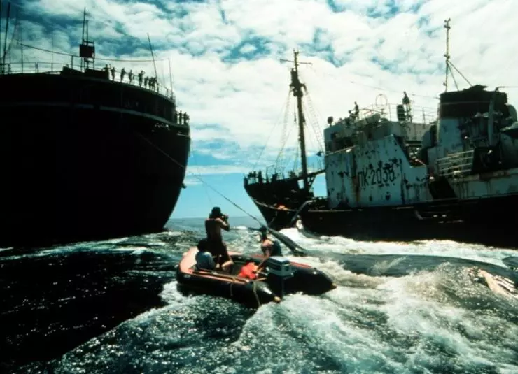 Как изменить мир 2015 скачать с торрента Как изменить мир 2015 скачать с торрента