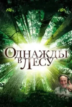Однажды в лесу / Once in the Forest 2013 скачать через торрент в хорошем качестве