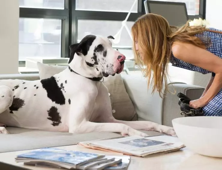 Другая женщина 2014 скачать через торрент бесплатно Другая женщина 2014 скачать через торрент бесплатно