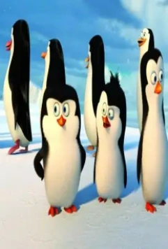 Пингвины Мадагаскара 2014 скачать с торрента Пингвины Мадагаскара 2014 скачать с торрента