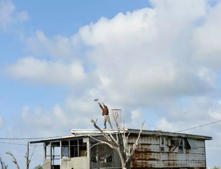 Звери дикого Юга 2012 скачать через торрент бесплатно Звери дикого Юга 2012 скачать через торрент бесплатно
