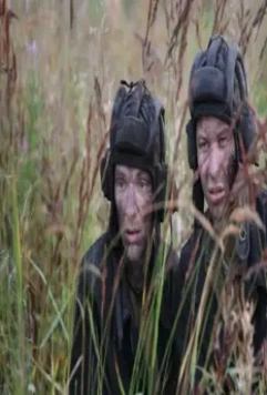 Белый тигр 2012 скачать с торрента Белый тигр 2012 скачать с торрента