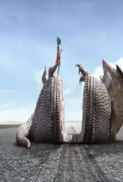 Ранго 2011 скачать с торрента Ранго 2011 скачать с торрента