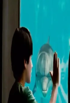 История дельфина 2011 скачать с торрента История дельфина 2011 скачать с торрента