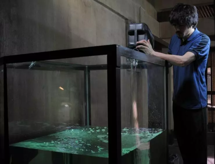 Глаз ребенка 2010 скачать торрентом Глаз ребенка 2010 скачать торрентом