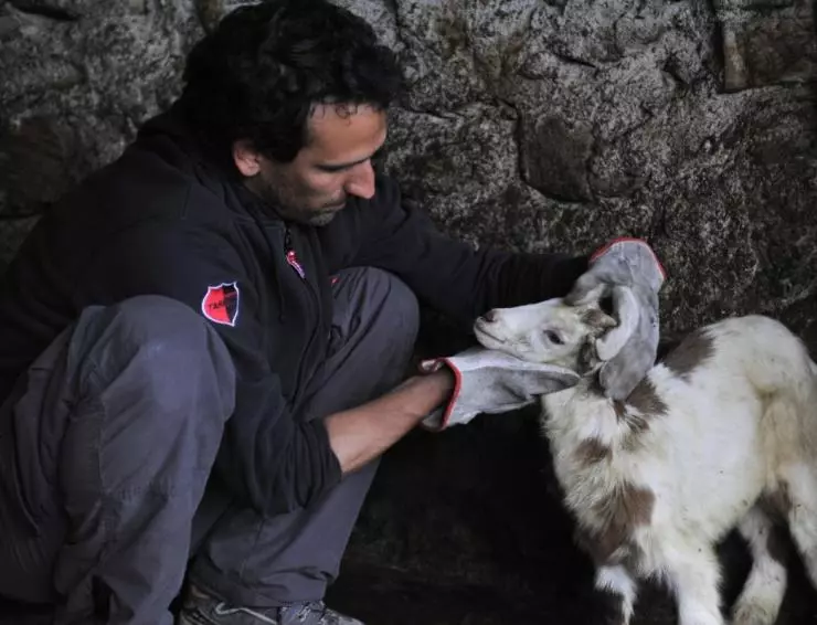 Четырежды 2010 скачать через торрент бесплатно Четырежды 2010 скачать через торрент бесплатно