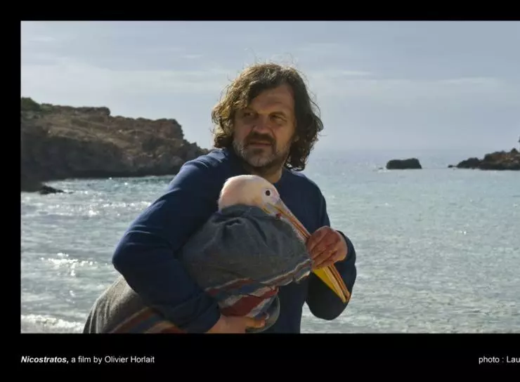 Пеликан 2011 скачать торрентом Пеликан 2011 скачать торрентом