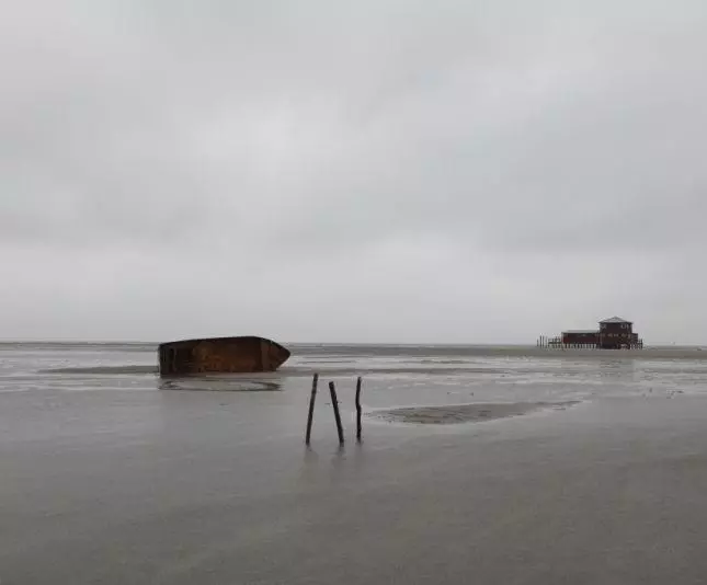 Чрево 2010 скачать с торрента Чрево 2010 скачать с торрента