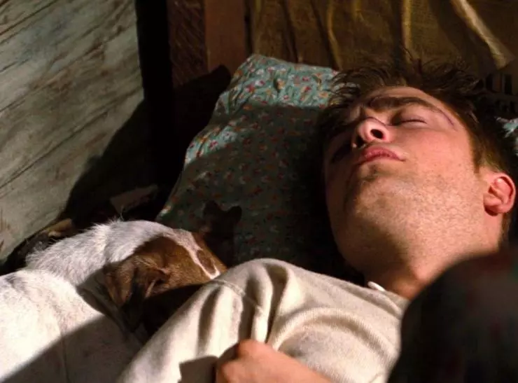 Воды слонам! 2011 скачать через торрент бесплатно Воды слонам! 2011 скачать через торрент бесплатно