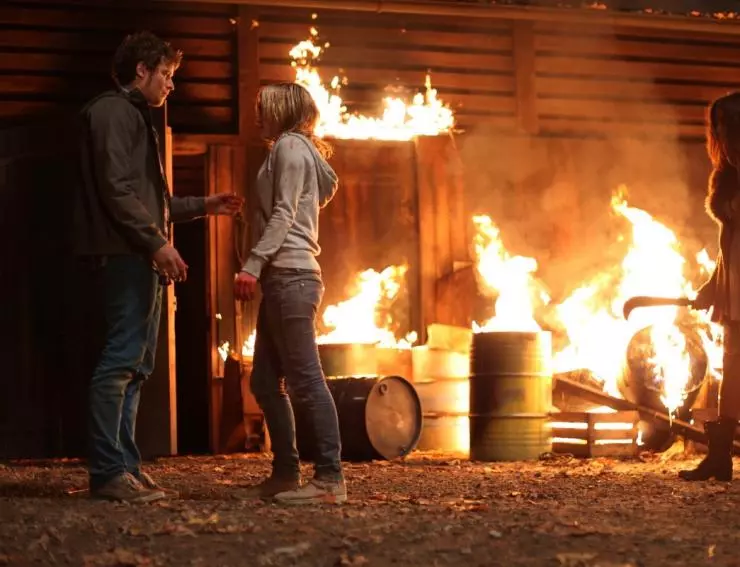 Грибы 3D 2011 скачать через торрент бесплатно Грибы 3D 2011 скачать через торрент бесплатно