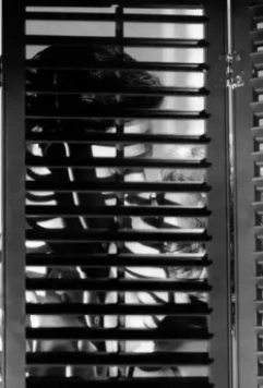 Психо 1960 скачать через торрент бесплатно Психо 1960 скачать через торрент бесплатно