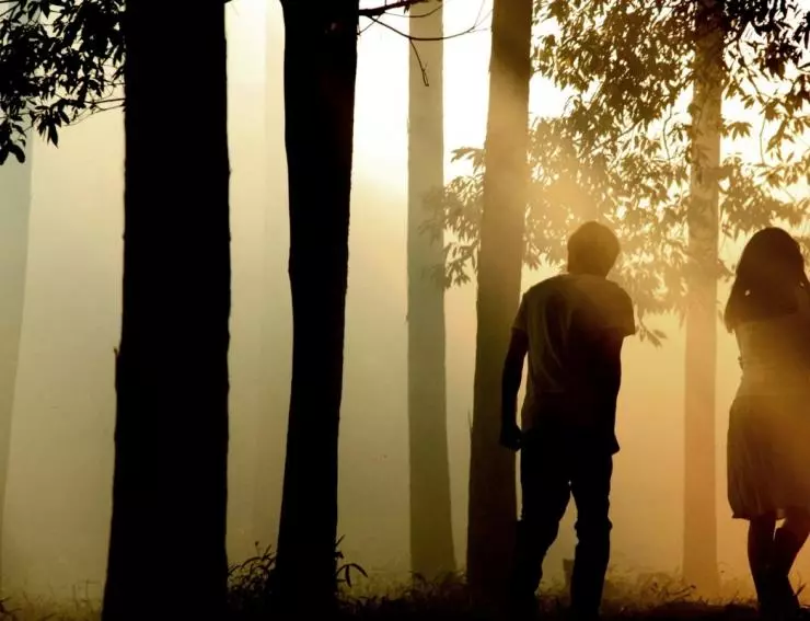 Норвежский лес 2010 скачать с торрента Норвежский лес 2010 скачать с торрента