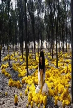 Женщины без мужчин 2009 скачать с торрента Женщины без мужчин 2009 скачать с торрента