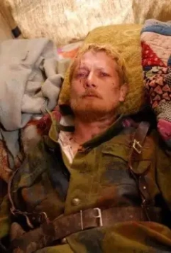 Золотое сечение 2009 скачать торрентом Золотое сечение 2009 скачать торрентом