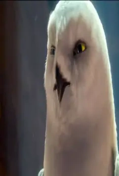 Легенды ночных стражей 2010 скачать торрентом Легенды ночных стражей 2010 скачать торрентом