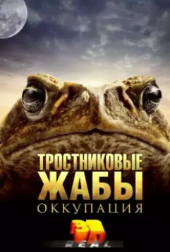 Тростниковые жабы: Оккупация / Cane Toads: The Conquest 2010 скачать через торрент в хорошем качестве