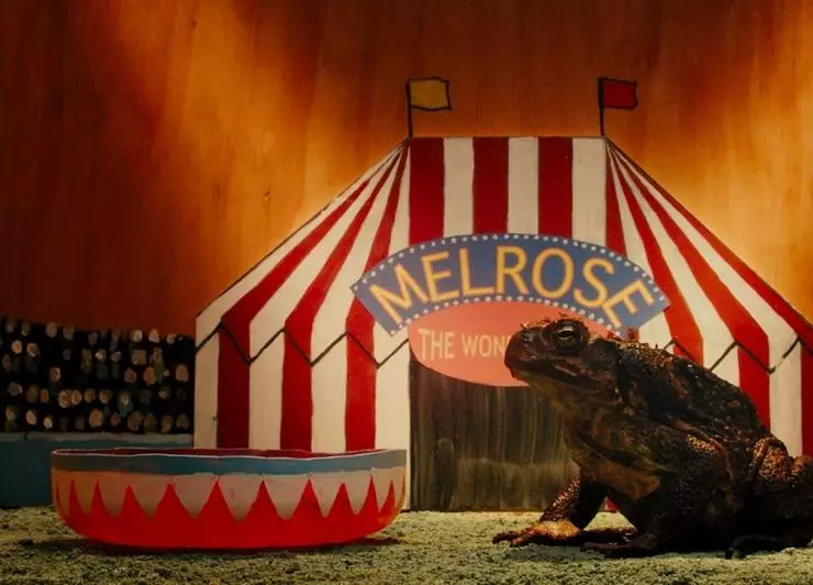 Тростниковые жабы: Оккупация 2010 скачать через торрент бесплатно Тростниковые жабы: Оккупация 2010 скачать через торрент бесплатно