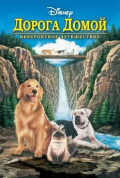 Дорога домой: Невероятное путешествие / Homeward Bound: The Incredible Journey 1993 скачать через торрент в хорошем качестве