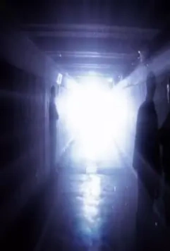 Тайны смерти 2009 скачать торрентом Тайны смерти 2009 скачать торрентом