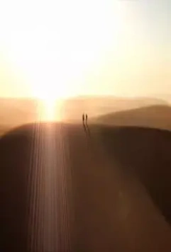 Тайны смерти 2009 скачать через торрент бесплатно Тайны смерти 2009 скачать через торрент бесплатно