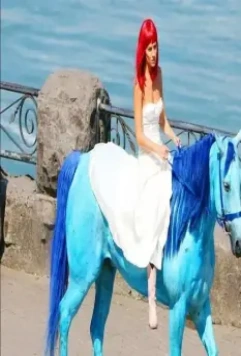 Медовый месяц Камиллы 2007 скачать через торрент бесплатно Медовый месяц Камиллы 2007 скачать через торрент бесплатно