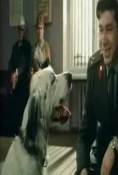 Белый Бим Черное ухо 1976 скачать через торрент бесплатно Белый Бим Черное ухо 1976 скачать через торрент бесплатно