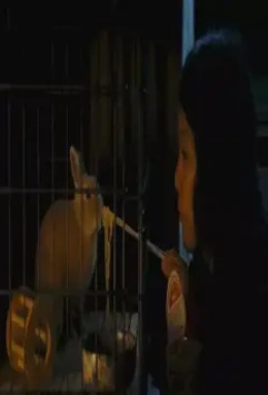 Кумико – охотница за сокровищами 2014 скачать через торрент бесплатно Кумико – охотница за сокровищами 2014 скачать через торрент бесплатно