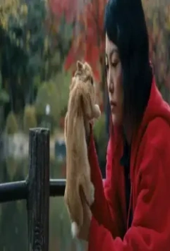 Кумико – охотница за сокровищами 2014 скачать с торрента Кумико – охотница за сокровищами 2014 скачать с торрента