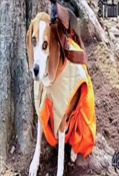 Боулинг для Колумбины 2002 скачать торрентом Боулинг для Колумбины 2002 скачать торрентом