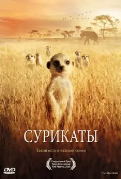 Сурикаты / The Meerkats 2007 скачать через торрент в хорошем качестве