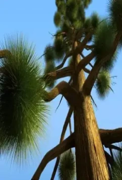 Сезон охоты 2 2008 скачать через торрент бесплатно Сезон охоты 2 2008 скачать через торрент бесплатно