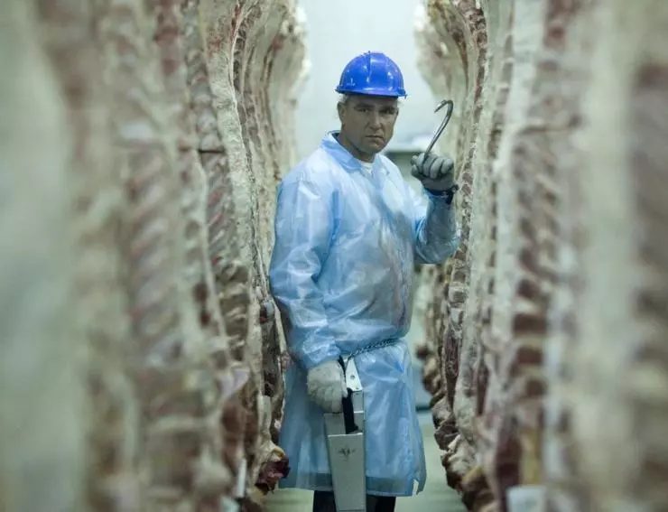 Полуночный экспресс 2008 скачать торрентом Полуночный экспресс 2008 скачать торрентом