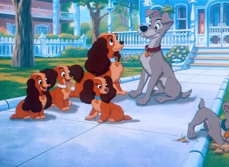 Леди и бродяга 2: Приключения Шалуна 2001 скачать через торрент бесплатно Леди и бродяга 2: Приключения Шалуна 2001 скачать через торрент бесплатно