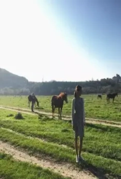 Злая шутка 2016 скачать торрентом Злая шутка 2016 скачать торрентом